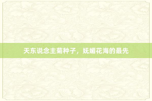 天东说念主菊种子，妩媚花海的最先