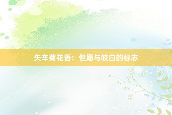 矢车菊花语：但愿与皎白的标志