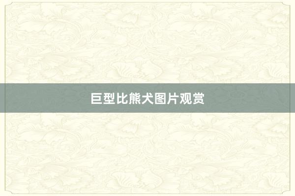 巨型比熊犬图片观赏