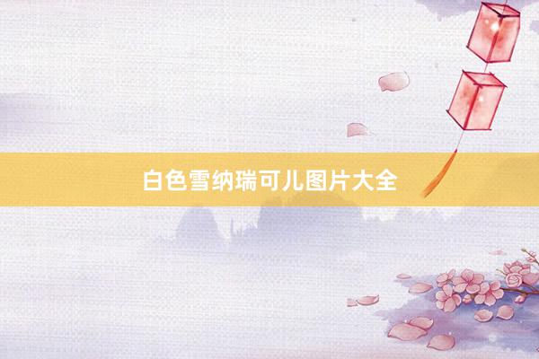 白色雪纳瑞可儿图片大全