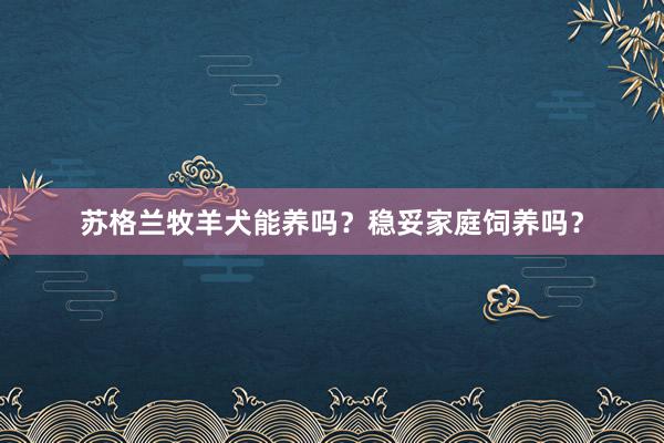 苏格兰牧羊犬能养吗？稳妥家庭饲养吗？